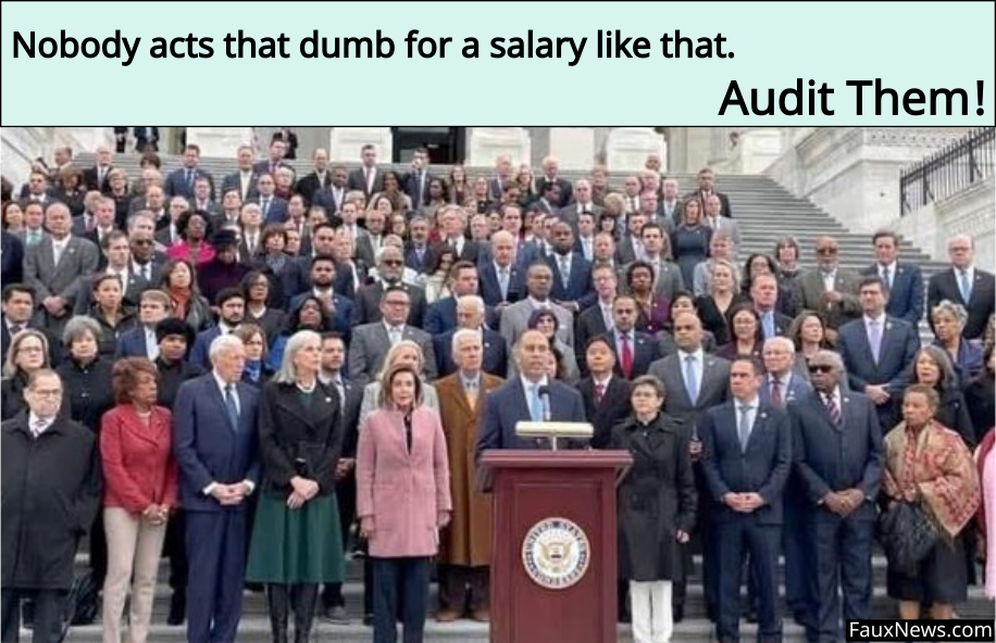 US Congress Needs DOGE Audit