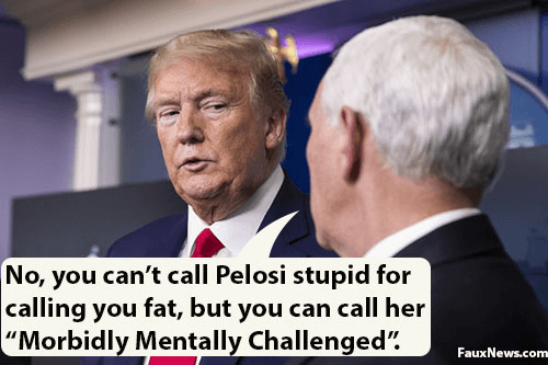 Pelosi morbidly mentally challenged